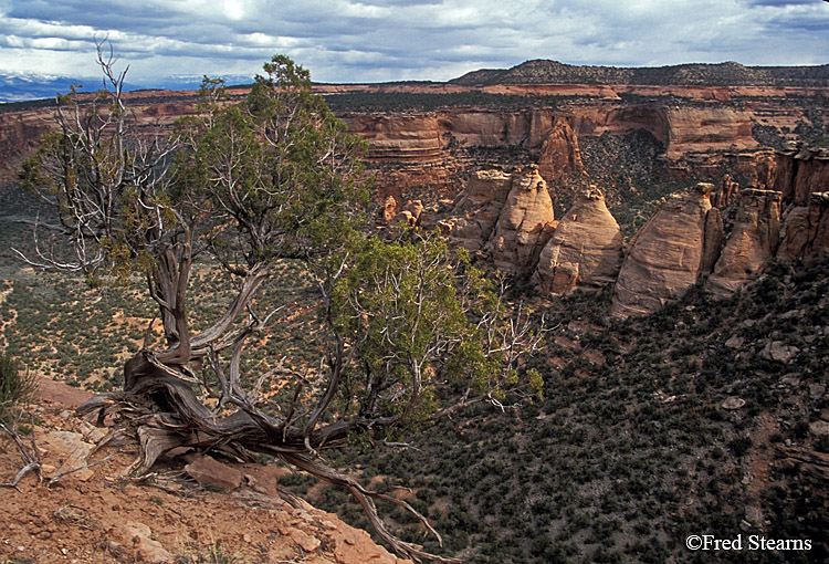Colorado National Monument Upper Ute Canyon